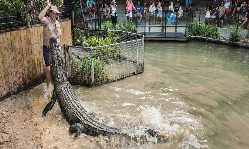 Hartley's Crocodile Adventures Tickets Cairns | Experience Oz