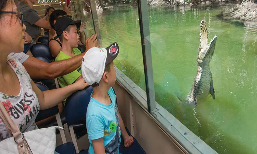 Hartley's Crocodile Adventures Tickets Cairns | Experience Oz