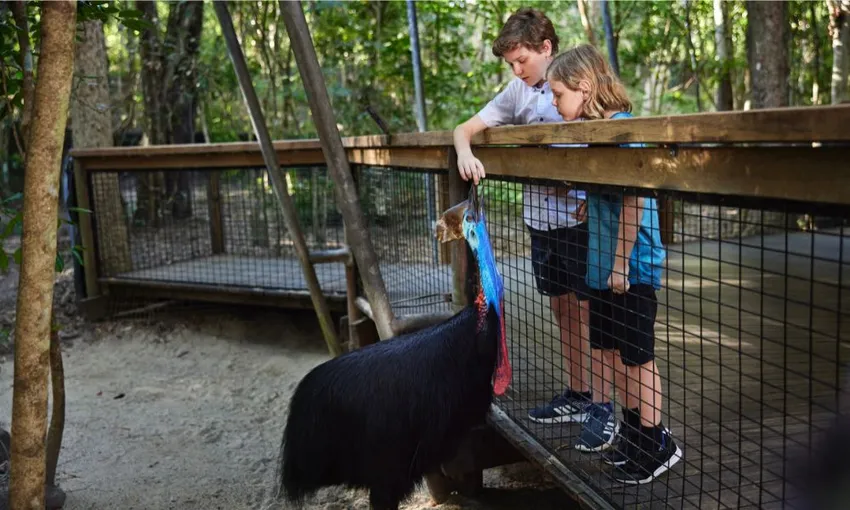 Hartley's Crocodile Adventures Tickets Cairns | Experience Oz
