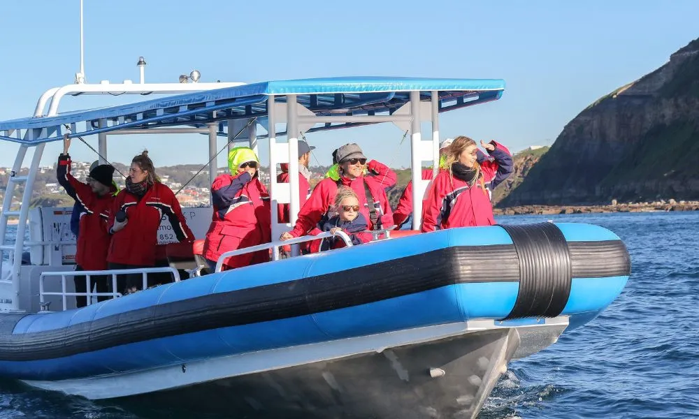 Whale Watching Cruise in Newcastle - Book Now | Experience Oz-4