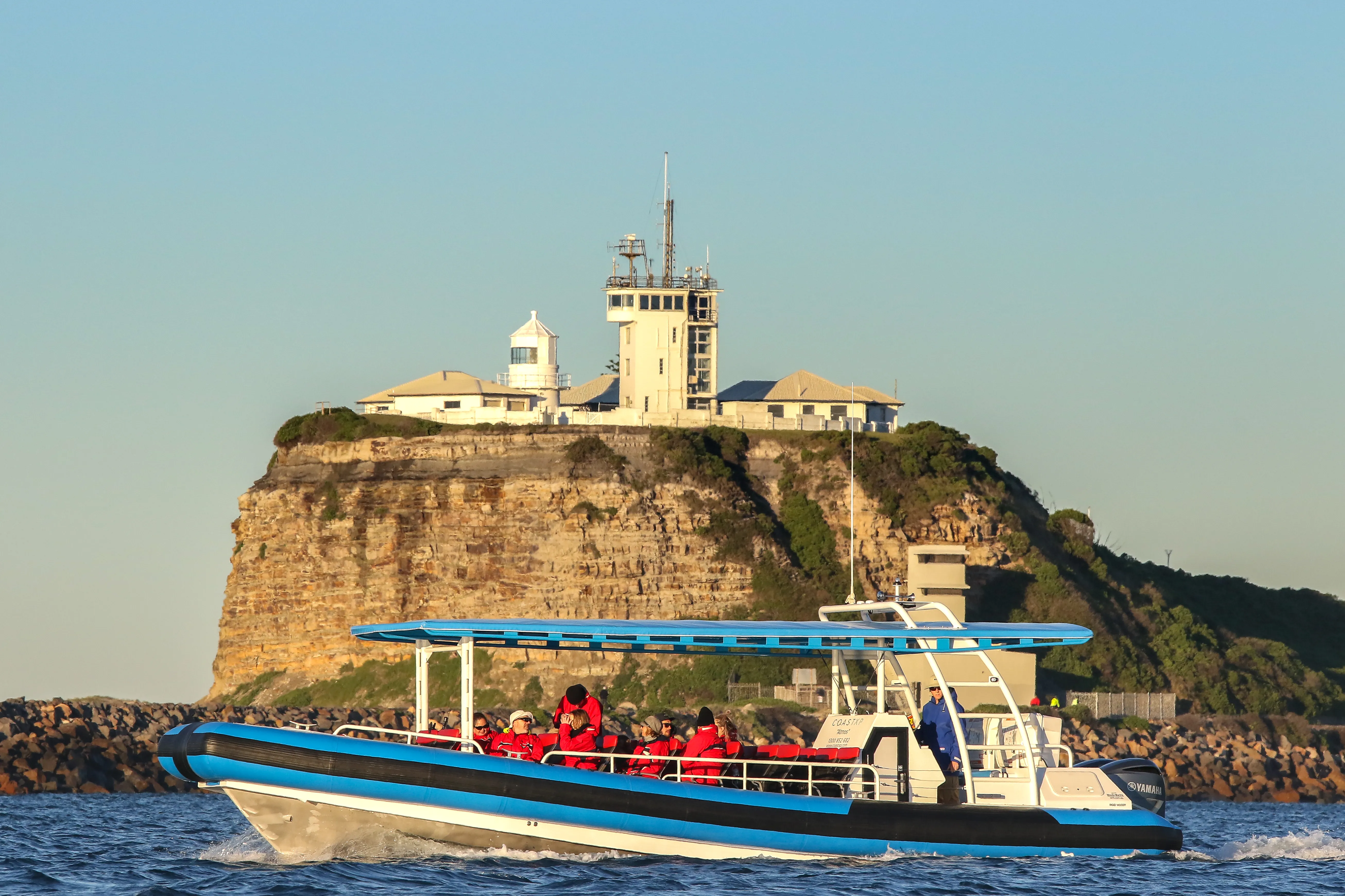 Whale Watching Cruise in Newcastle - Book Now | Experience Oz-10