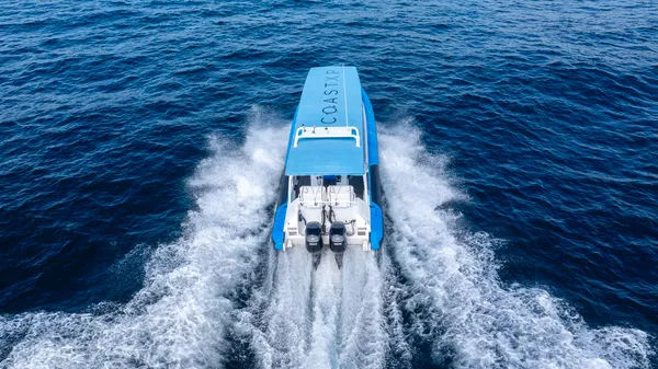 Whale Watching Cruise in Newcastle - 2 Hours
