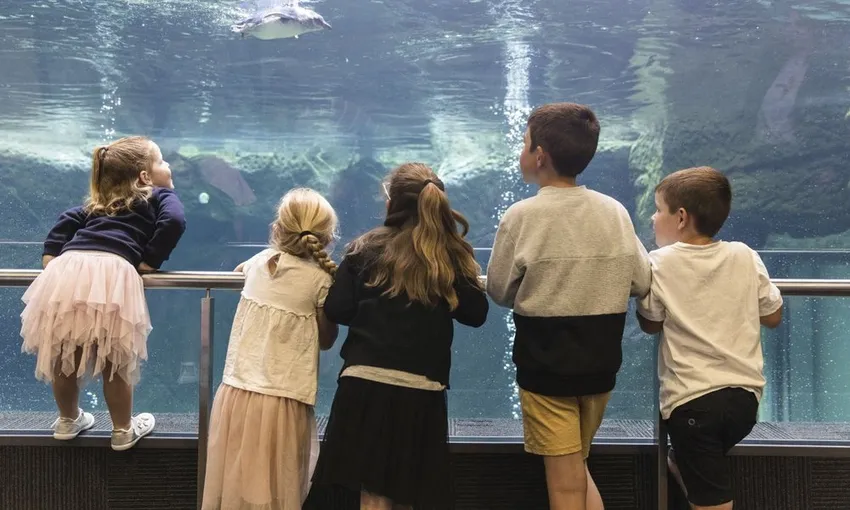 International Antarctic Centre General Admission - Book Now | Experience OZ