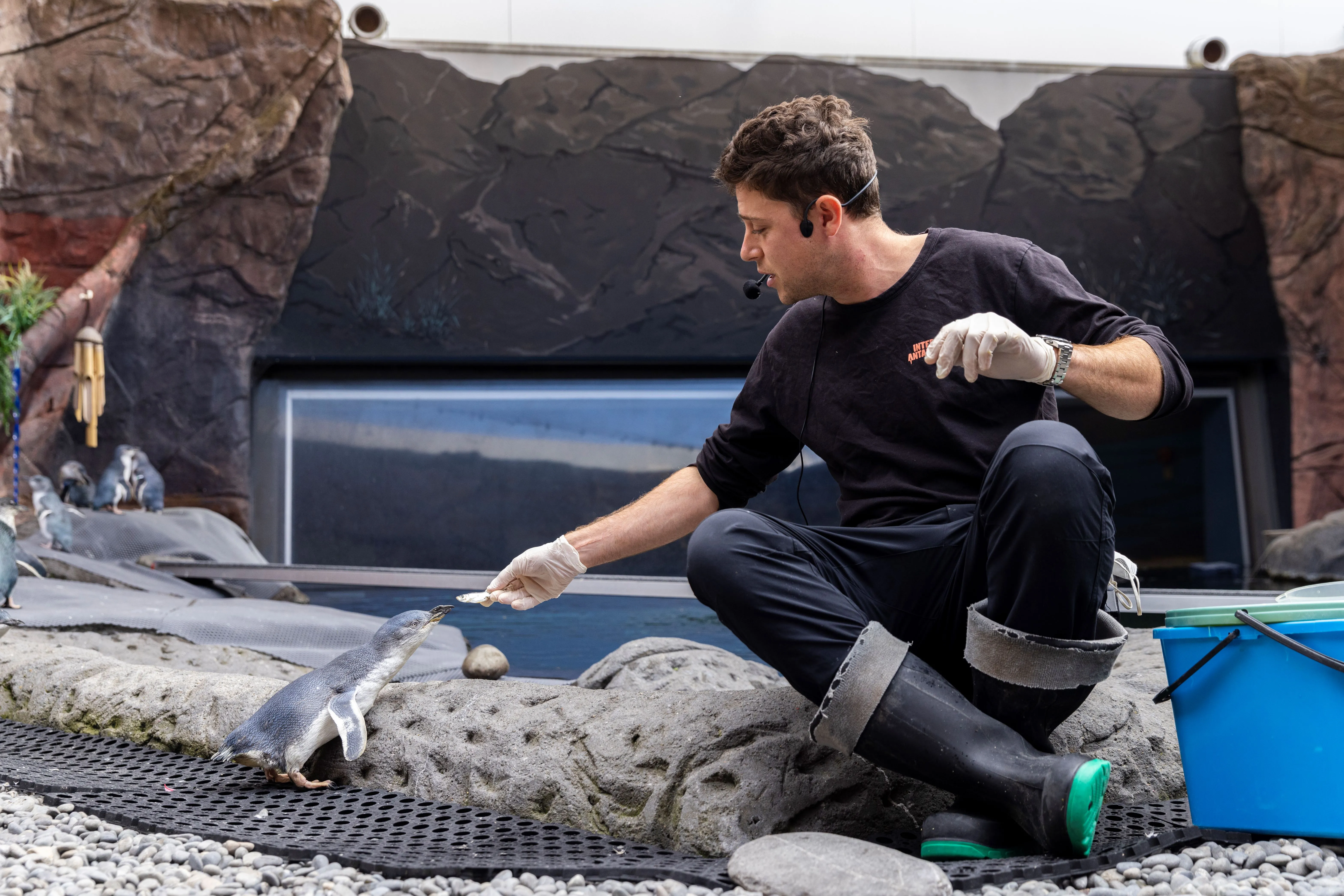 International Antarctic Centre General Admission - Book Now | Experience OZ-3