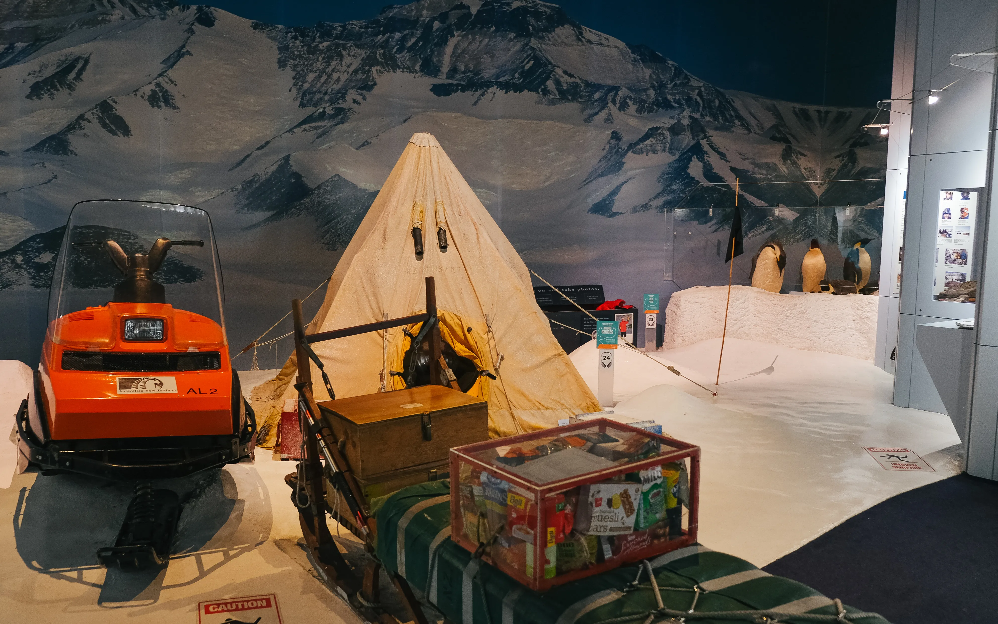 International Antarctic Centre General Admission - Book Now | Experience OZ-4