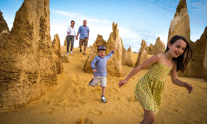 Pinnacles, Lobster & Lavender Day Tour From Perth | Experience Oz