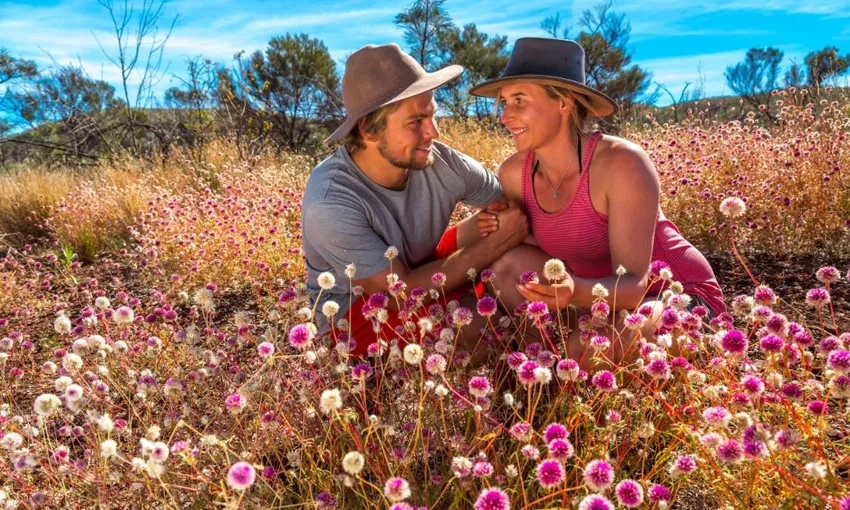 Pinnacles, Lobster & Lavender Day Tour From Perth | Experience Oz