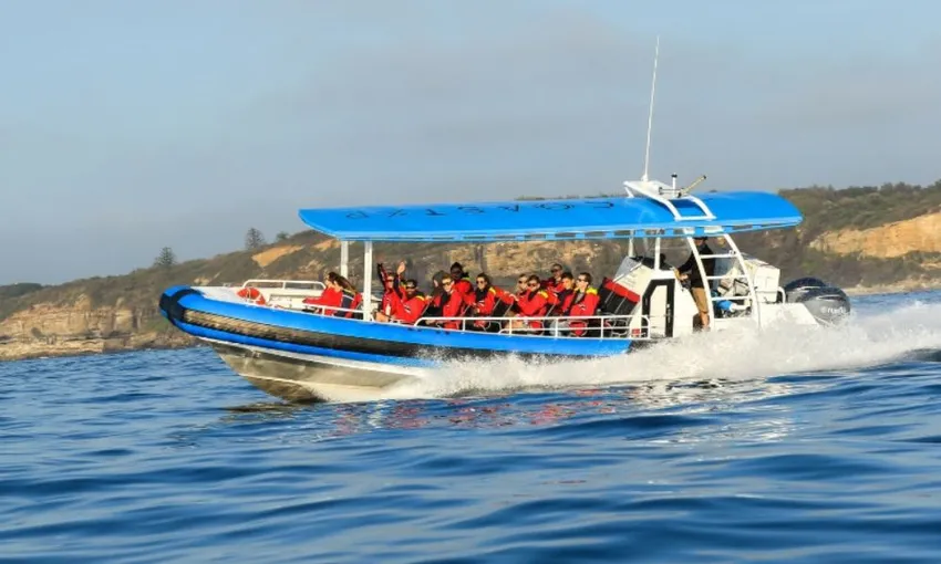Newcastle Coastal Adventure Tour - 2.5 Hours | Experience Oz