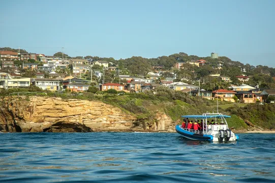 Newcastle Coastal Adventure Tour - 2.5 Hours