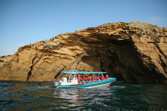 Newcastle Coastal Adventure Tour - 2.5 Hours