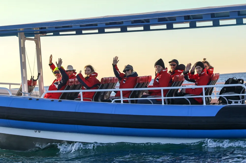 Newcastle Coastal Adventure Tour - 2.5 Hours | Experience Oz-5