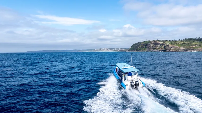 Newcastle Coastal Adventure Tour - 2.5 Hours | Experience Oz