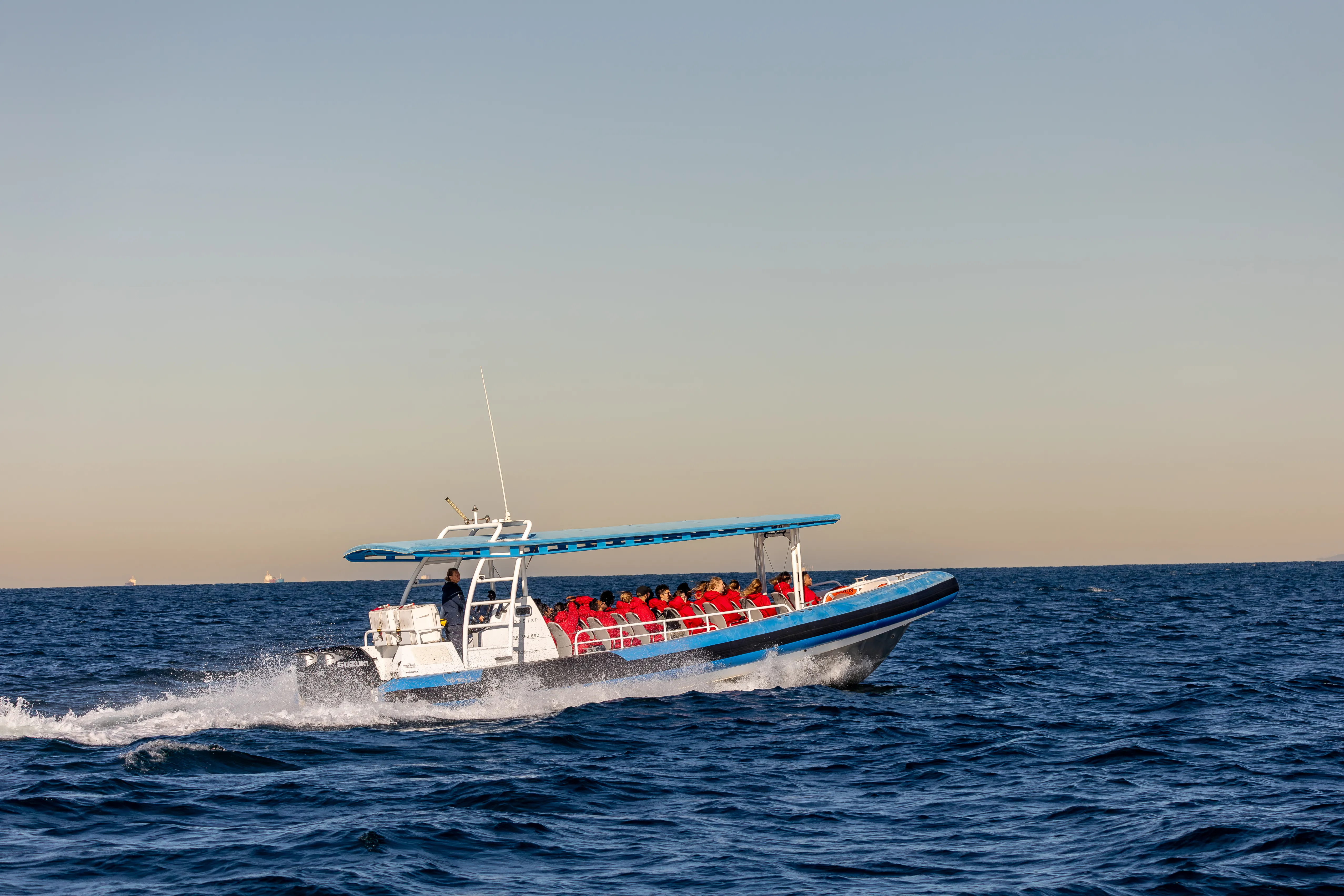 Newcastle Coastal Adventure Tour - 2.5 Hours | Experience Oz-1