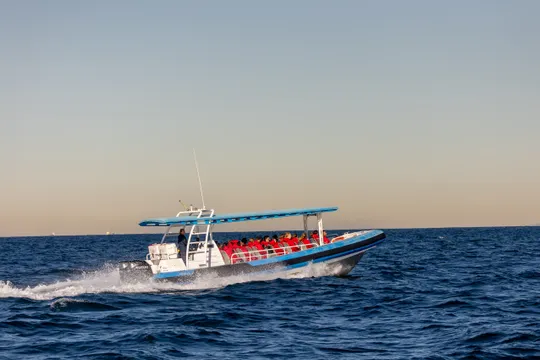 Newcastle Coastal Adventure Tour - 2.5 Hours