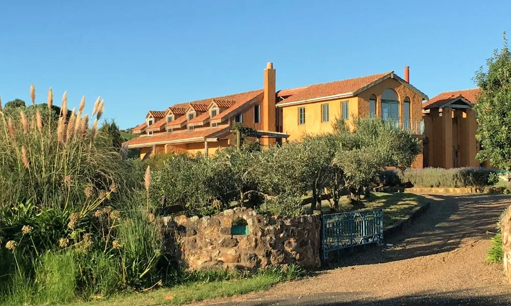 Waiheke Island Art Walk - Book Now | Experience Oz -1