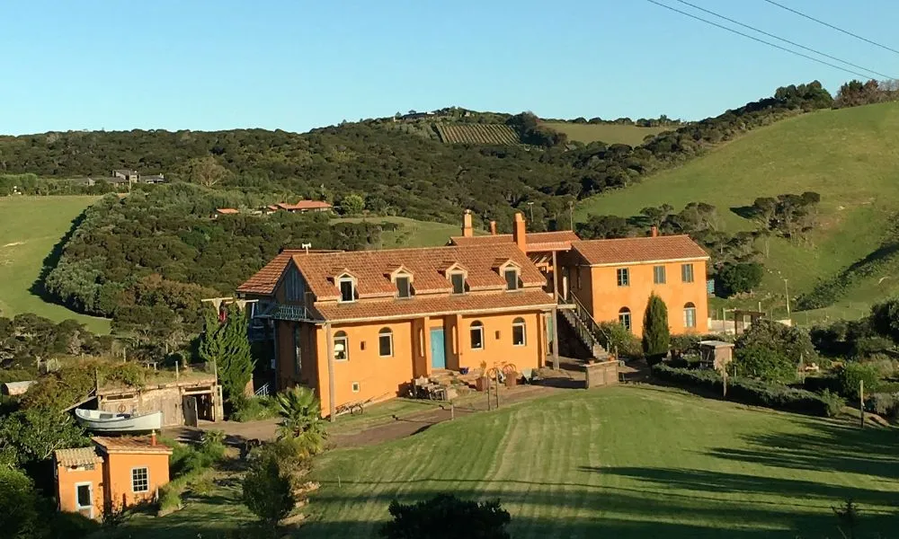 Waiheke Island Art Walk - Book Now | Experience Oz -3