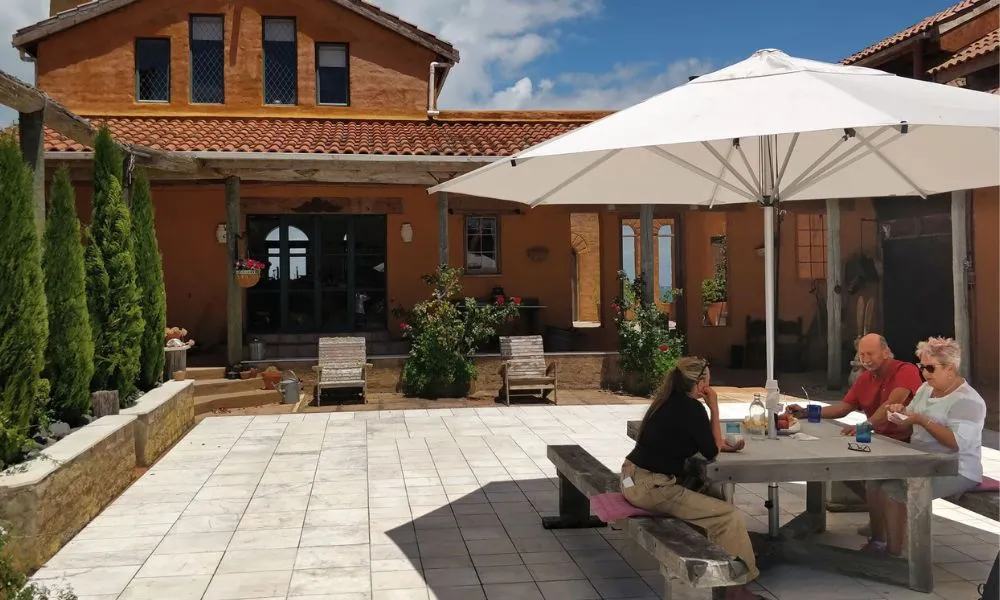 Waiheke Island Art Walk - Book Now | Experience Oz -5