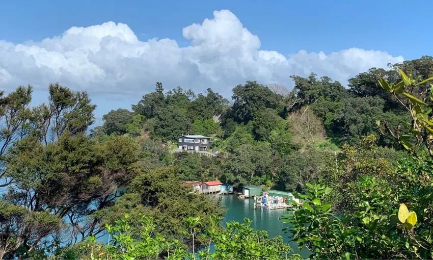 Waiheke Island Bush and Beach Walk | Experience Oz 