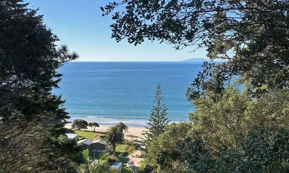 Waiheke Island Bush and Beach Walk | Experience Oz -6