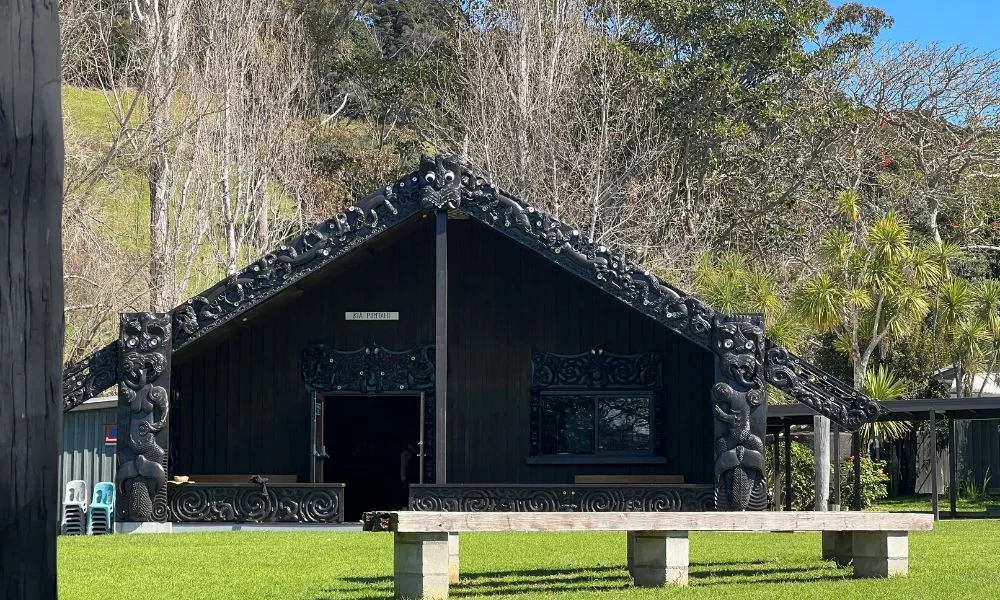 Waiheke Island Cultural Tour - Book Now | Experience Oz -2