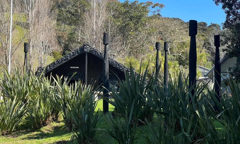 Waiheke Island Cultural Tour - Book Now | Experience Oz -3