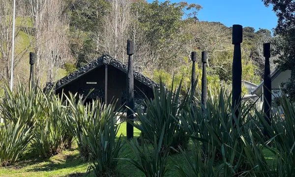 Waiheke Island Cultural Tour