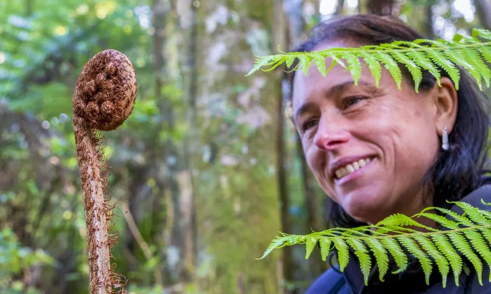 Waiheke Island Cultural Tour - Book Now | Experience Oz -6