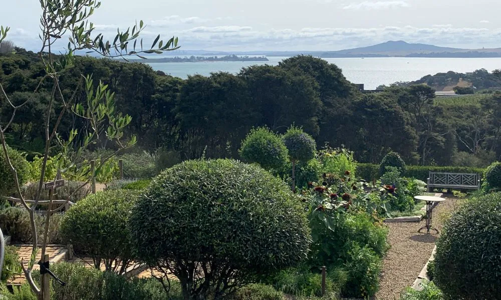 Waiheke Island Vineyards and Bush Walk | Experience Oz + NZ-3
