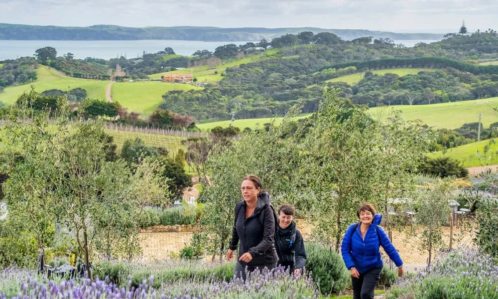 Waiheke Island Vineyards and Bush Walk | Experience Oz + NZ-4