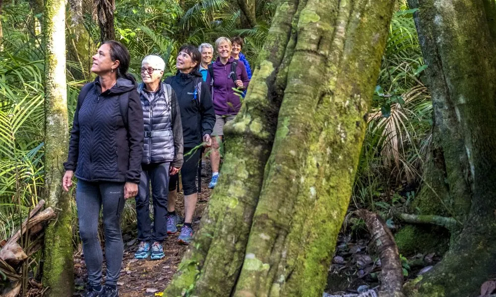 Waiheke Island Vineyards and Bush Walk | Experience Oz + NZ-6