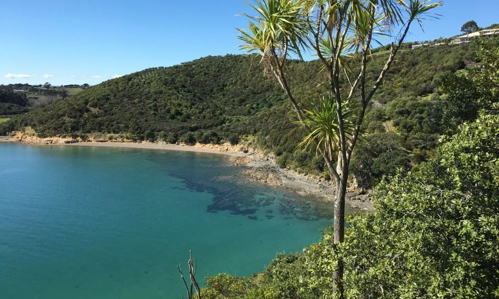 Waiheke Island Double Headland Walk | Experience Oz -3