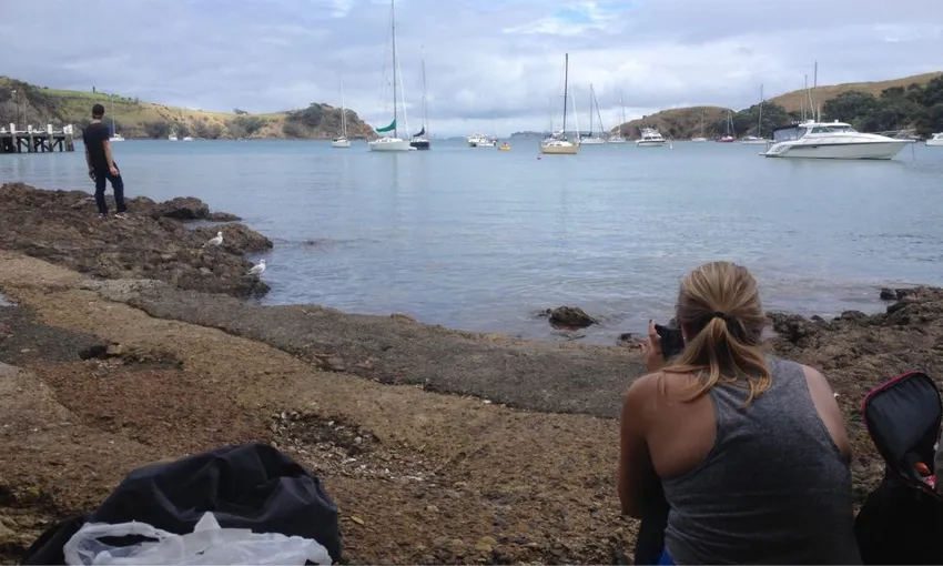 Waiheke Island Double Headland Walk | Experience Oz 