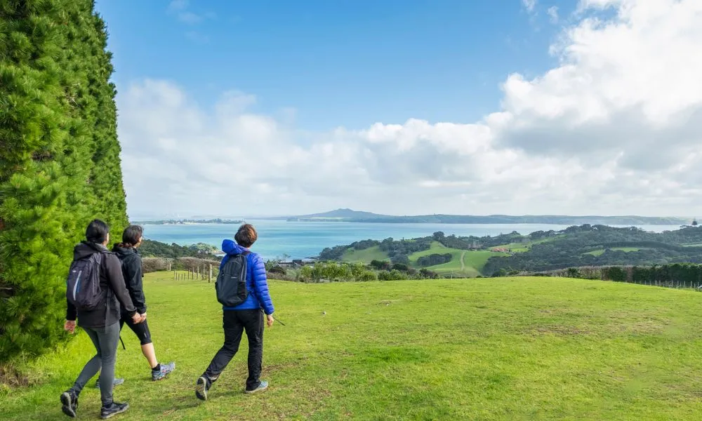 Waiheke Island Double Headland Walk | Experience Oz -6