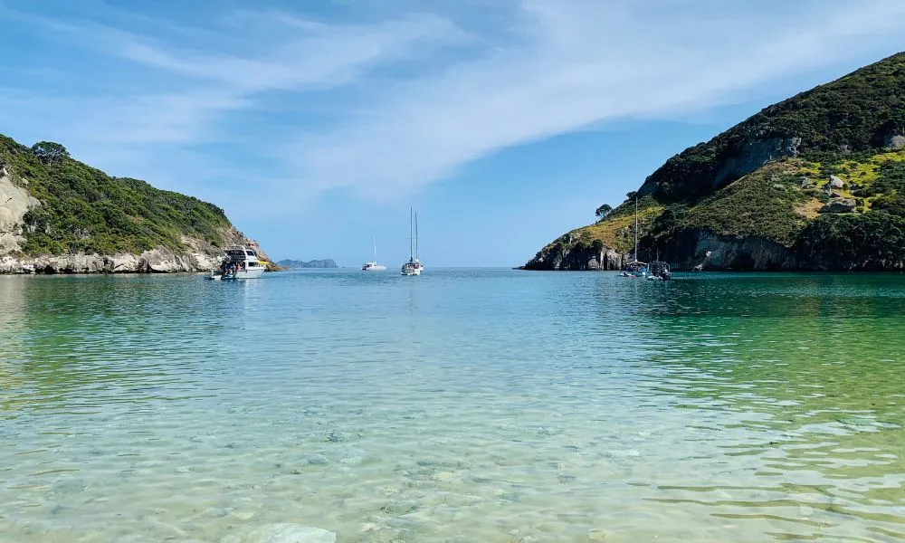 Hauraki Gulf Eco Sailing Adventure - Book Now | Experience Oz-1