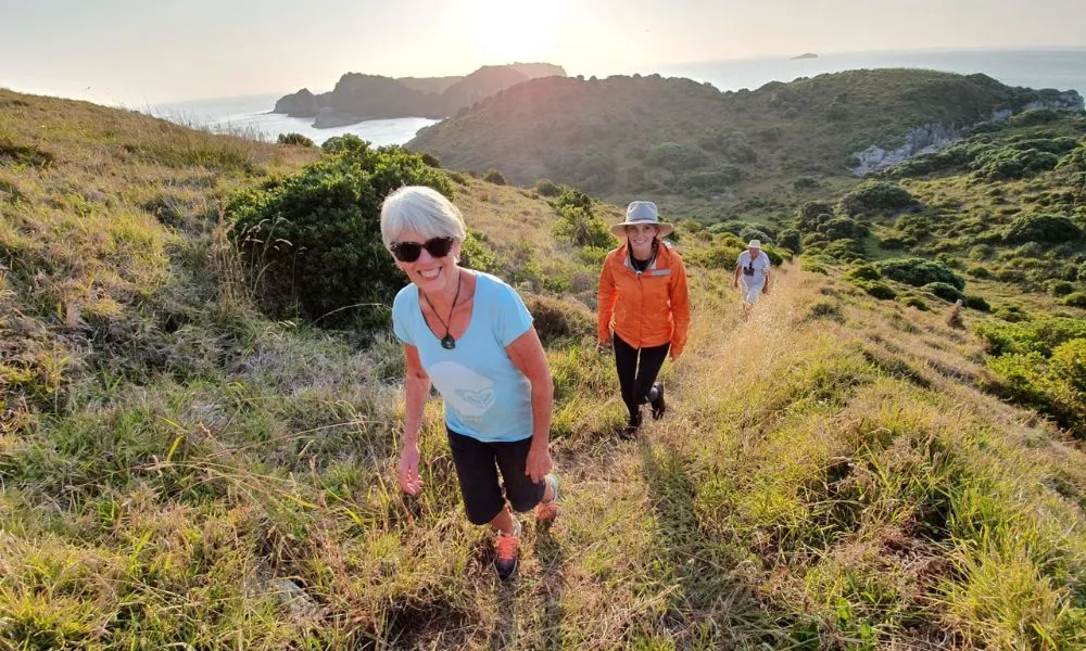 Hauraki Gulf Eco Sailing Adventure - Book Now | Experience Oz-2