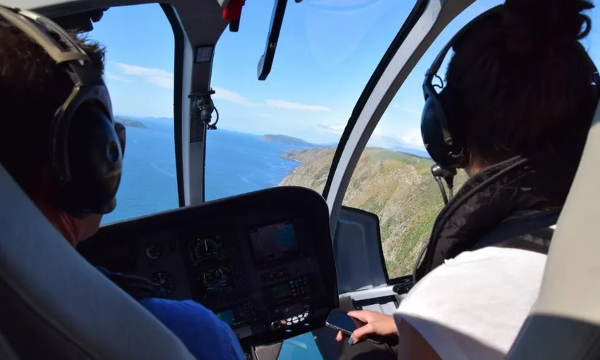 Whale Watching Heli-Flight - Book Now | Experience Oz