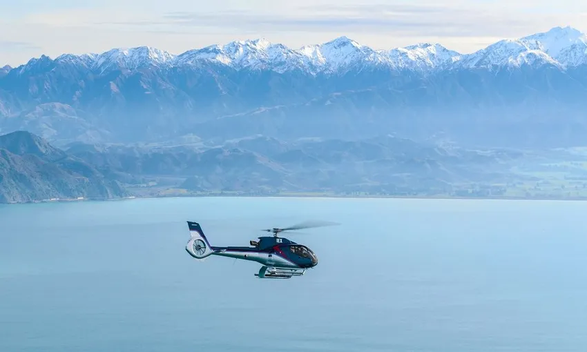 Whale Watching Heli-Flight - Book Now | Experience Oz