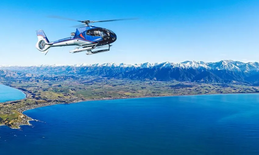 Top n Tail Whale Watch - Book Now | Experience Oz