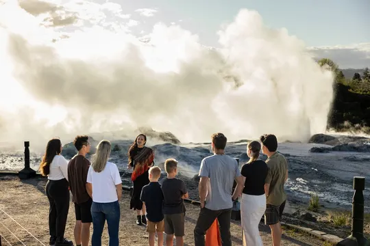 Rotorua Guided Tour at Te Puia - 90 Minutes