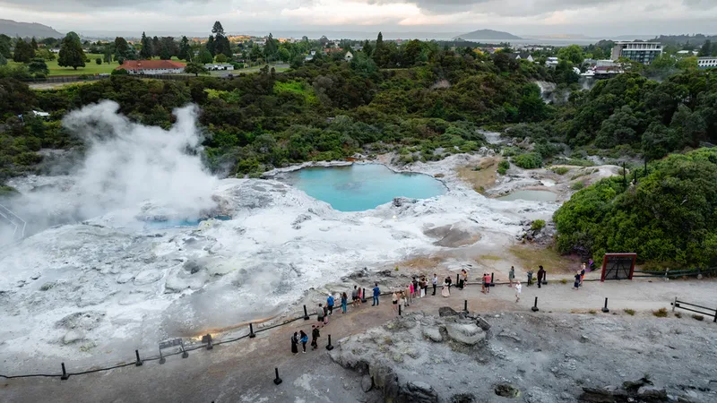 Guided Tour at Te Puia Rotorua - Book Now | Experience Oz