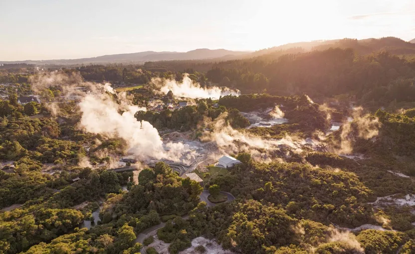 Guided Tour at Te Puia Rotorua - Book Now | Experience Oz