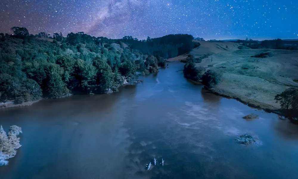 Tauranga Evening Glowworm Kayak Tour - Book Now | Experience Oz -5