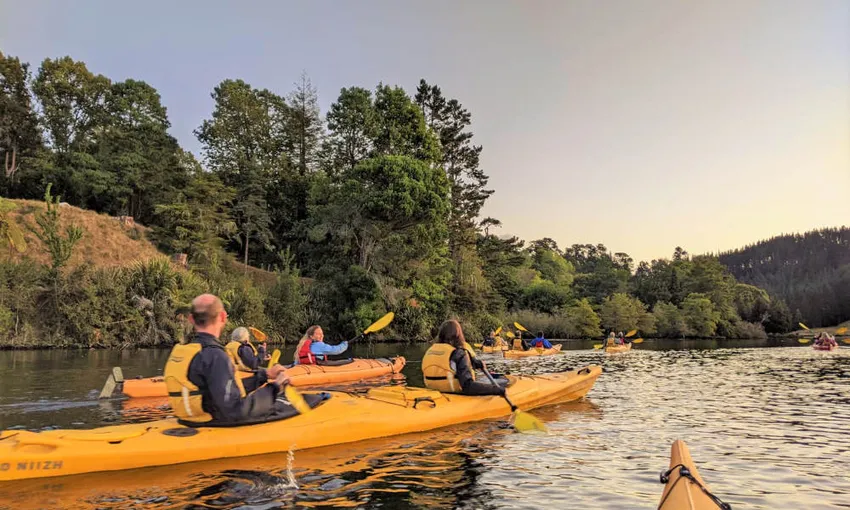 Tauranga Evening Glowworm Kayak Tour - Book Now | Experience Oz
