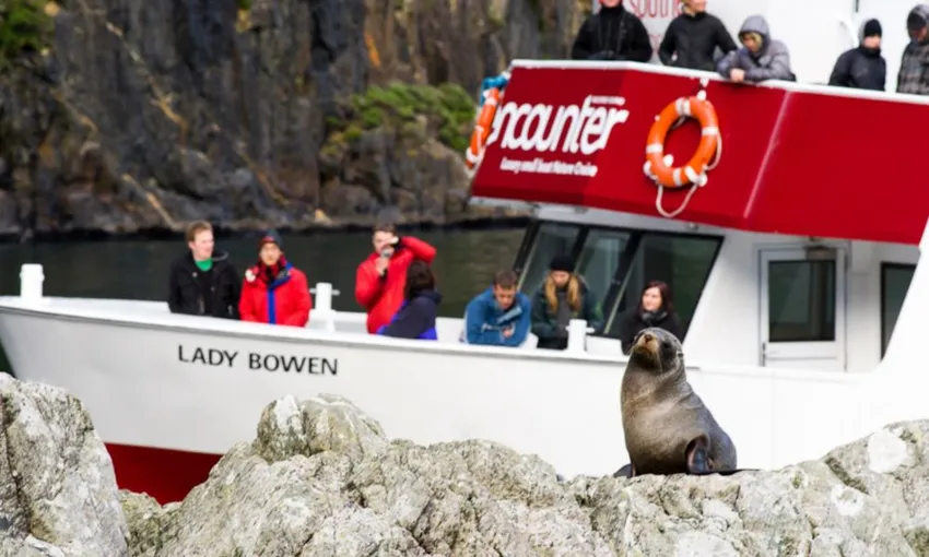 Milford Sound Half Day Heli-Cruise-Heli - Book Now | Experience Oz