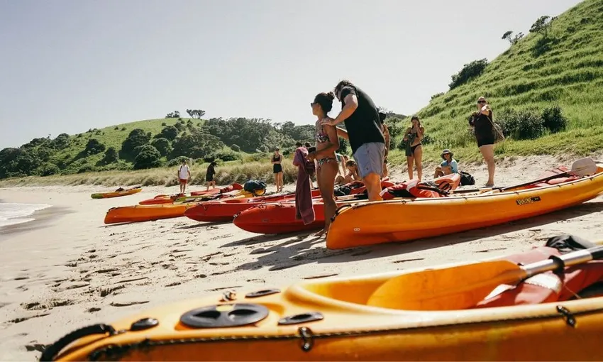 Bay of Islands Day Cruise with Snorkelling and Lunch | Experience Oz
