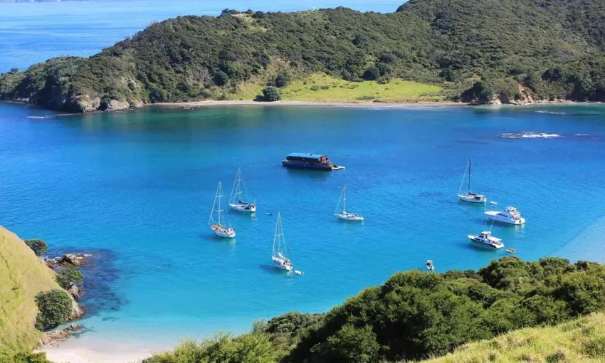 Bay of Islands Day Cruise with Snorkelling and Lunch | Experience Oz