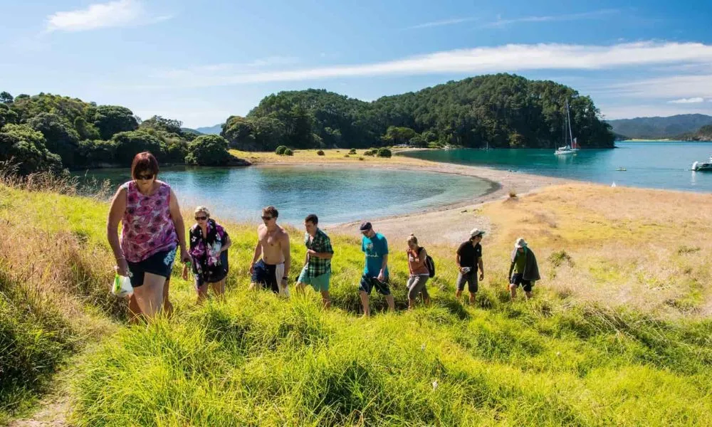 The Rock Overnight Bay of Islands Cruise | Experience Oz -5