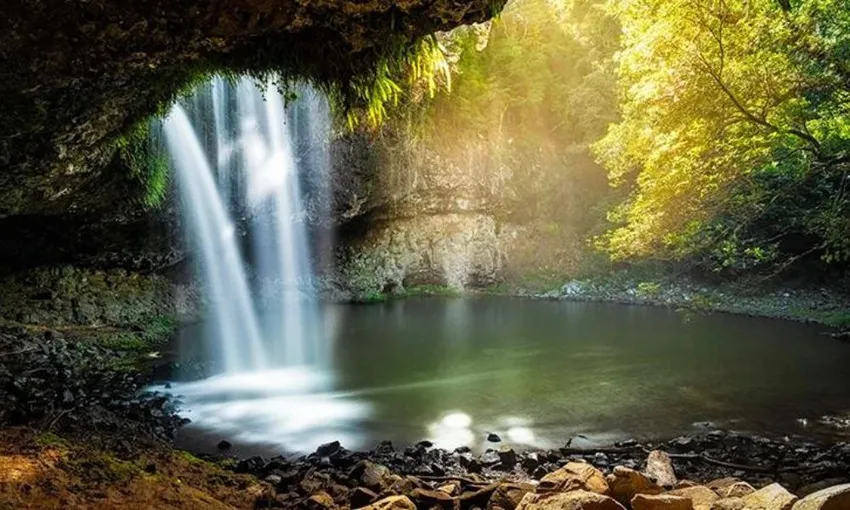 Byron Bay Waterfalls and Hidden Gems Tour - Book Now | Experience Oz