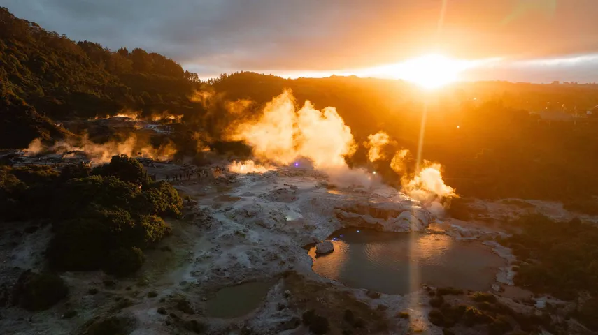 Rotorua Te Puia Guided Tour with Hangi Dinner and Haka - Book Now | Experience Oz