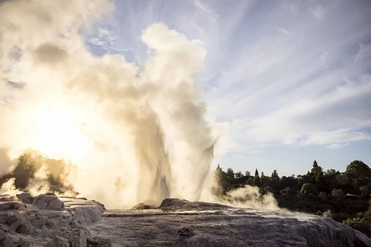 Rotorua Te Puia Guided Tour with Hangi Dinner and Haka - Book Now | Experience Oz